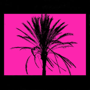 Pink Palm I