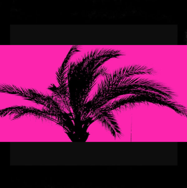 Pink Palm I