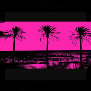 Pink Palms III